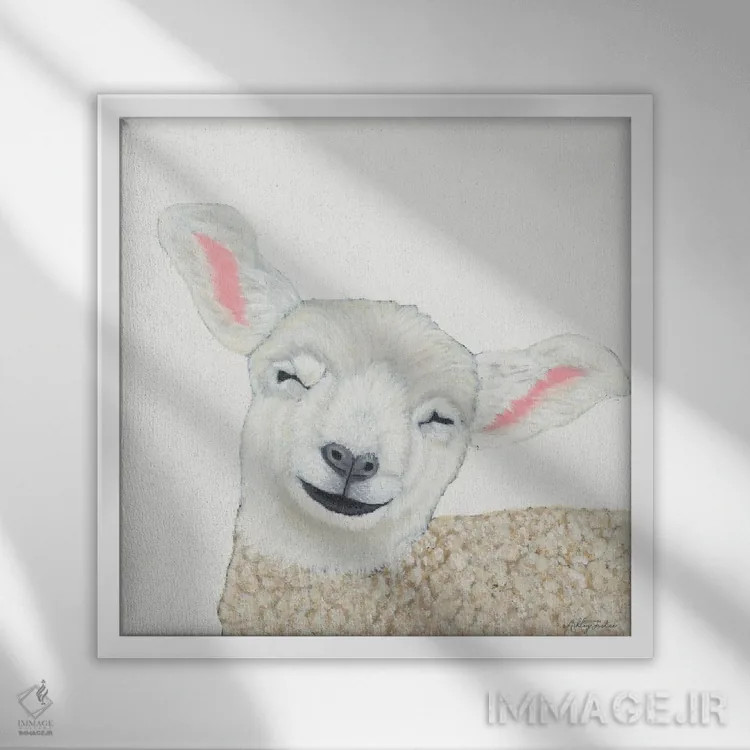 تابلو گوسفند خندان اثر اشلی جاستیس - نمای قابدار سفید