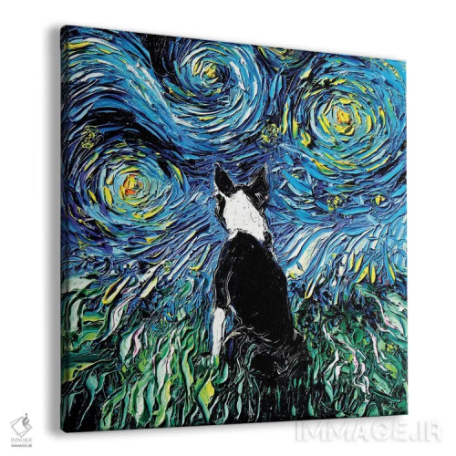 تابلو شب تریِر بوستون اثر آجا تریر - نمای پرسپکتیو محصول