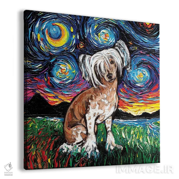 تابلو شب چاینیز کرستد (نژاد سگ) اثر آجا تریر - نمای پرسپکتیو محصول