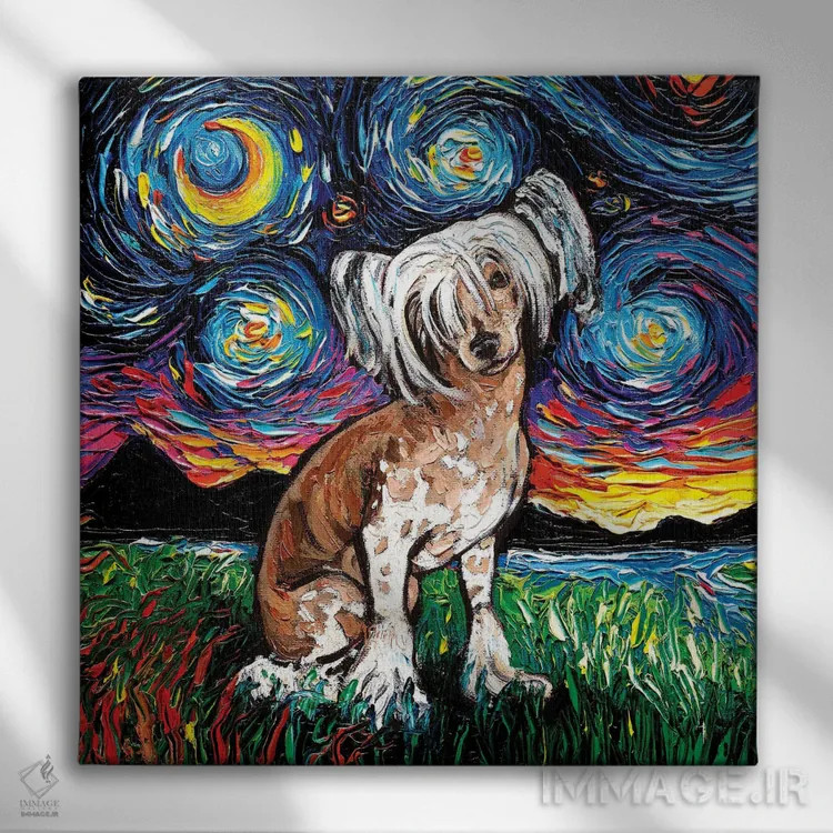 تابلو شب چاینیز کرستد (نژاد سگ) اثر آجا تریر - نمای روبهرو روی دیوار