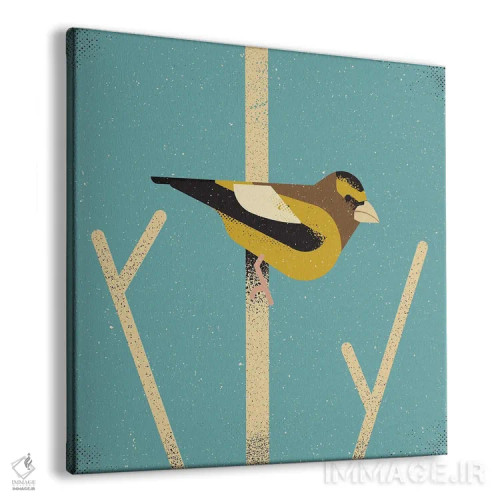 تابلو سهره شبانگاهی (پرنده) اثر امر کاریچ - نمای پرسپکتیو محصول