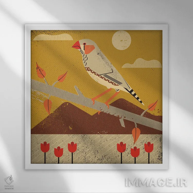 تابلو فنچ گورخری (پرنده) اثر امر کاریچ - نمای قابدار سفید