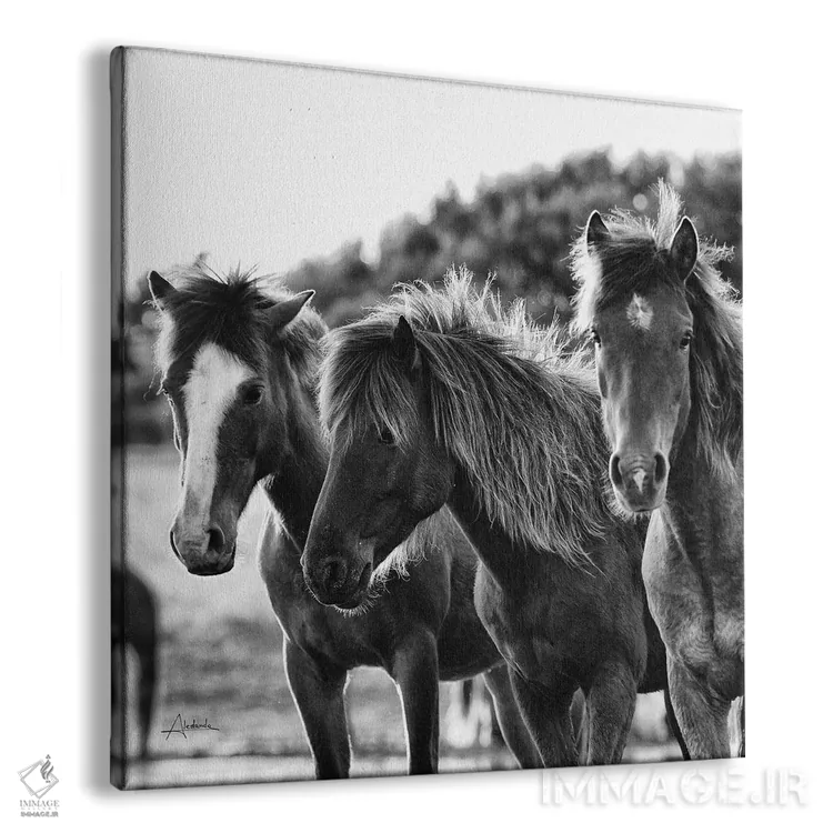 تابلو سه اسب اثر الدندا - نمای پرسپکتیو محصول