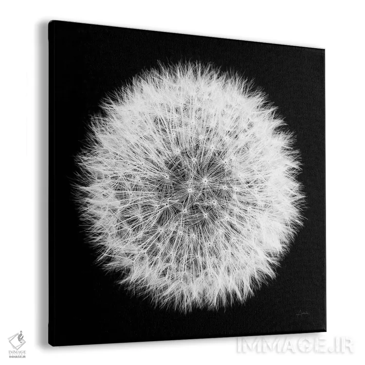 تابلو قاصدک روی زمینهٔ سیاه ۱ اثر الدندا - نمای پرسپکتیو محصول