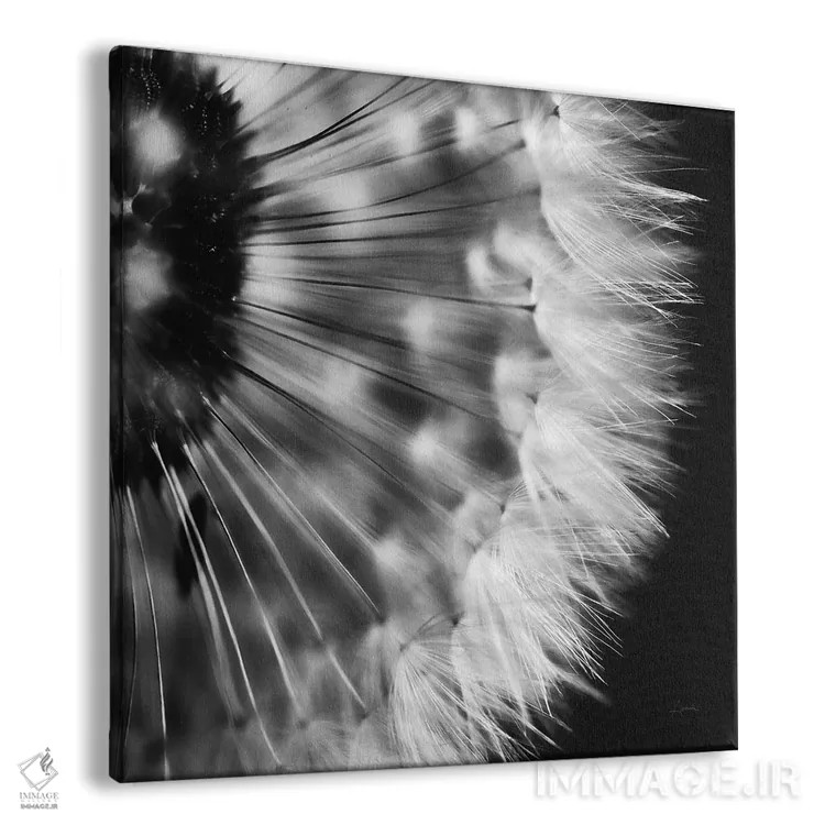 تابلو قاصدک روی زمینهٔ سیاه ۳ اثر الدندا - نمای پرسپکتیو محصول