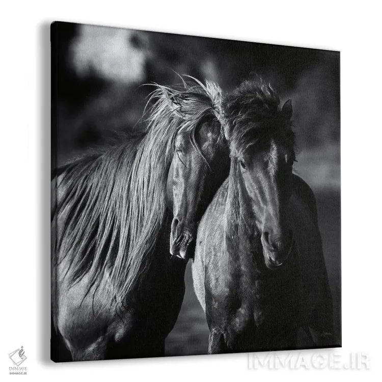 تابلو دوستان (برش) اثر الدندا - نمای پرسپکتیو محصول