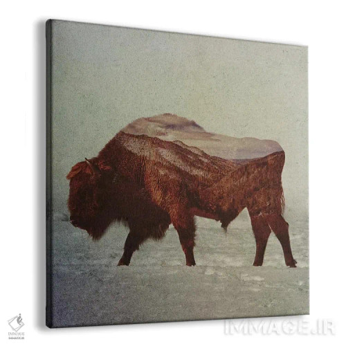 تابلو گاومیش آمریکایی II اثر آندریاس لیه - نمای پرسپکتیو محصول