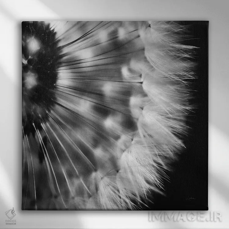 تابلو قاصدک روی زمینهٔ سیاه ۳ اثر الدندا - نمای روبهرو روی دیوار