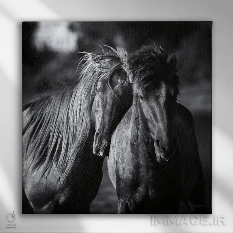 تابلو دوستان (برش) اثر الدندا - نمای روبهرو روی دیوار