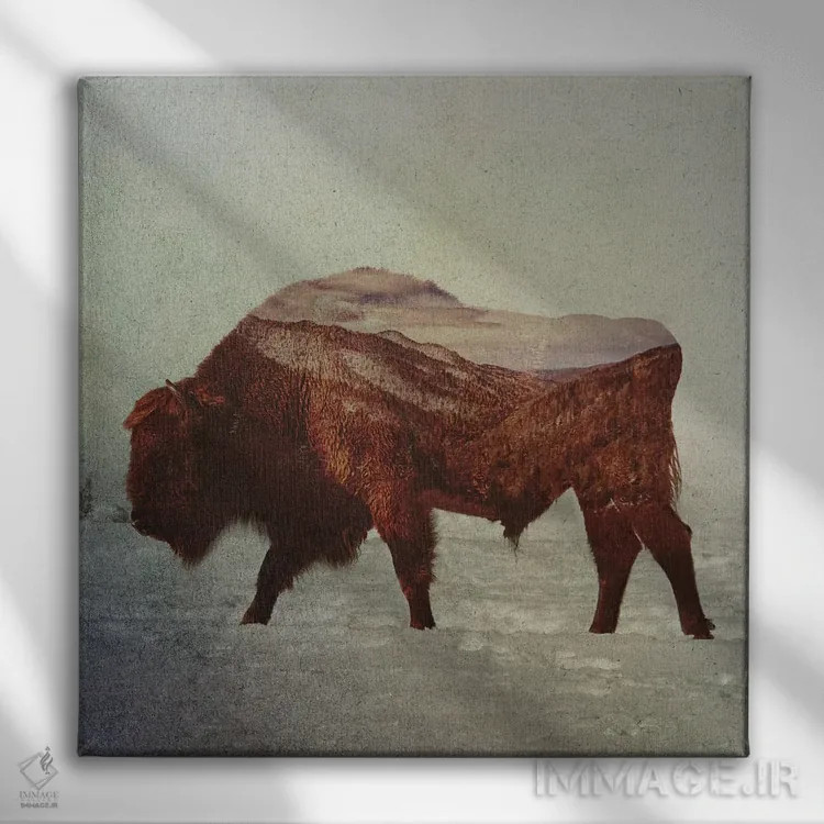 تابلو گاومیش آمریکایی II اثر آندریاس لیه - نمای روبهرو روی دیوار