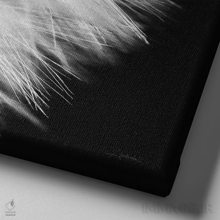 تابلو قاصدک روی زمینهٔ سیاه ۳ اثر الدندا - نمای نزدیک بافت بوم