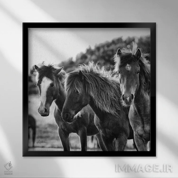 تابلو سه اسب اثر الدندا - نمای قابدار مشکی
