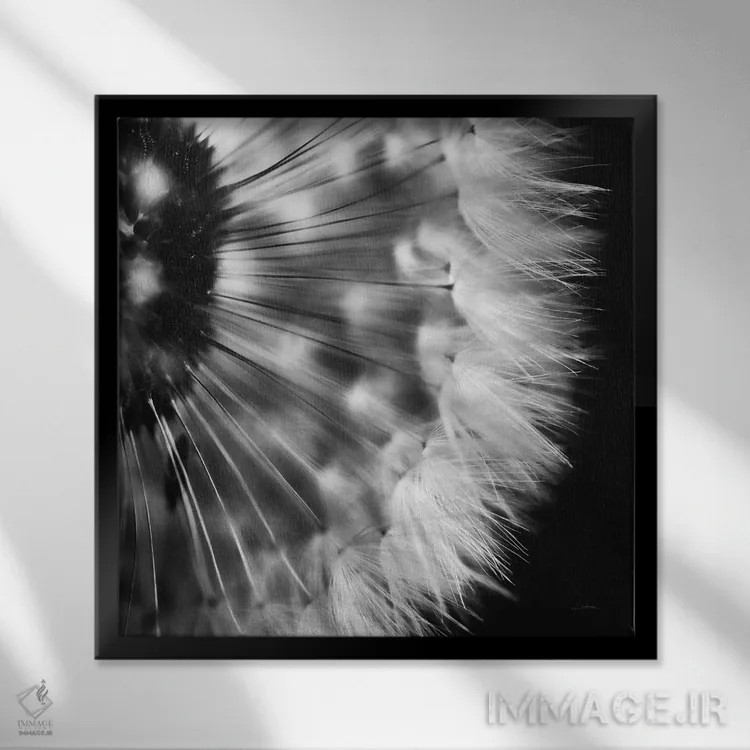 تابلو قاصدک روی زمینهٔ سیاه ۳ اثر الدندا - نمای قابدار مشکی