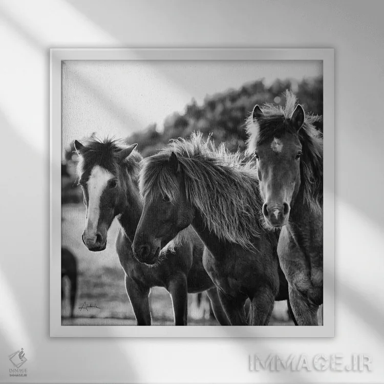 تابلو سه اسب اثر الدندا - نمای قابدار سفید