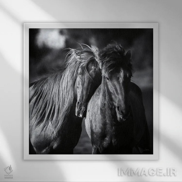 تابلو دوستان (برش) اثر الدندا - نمای قابدار سفید