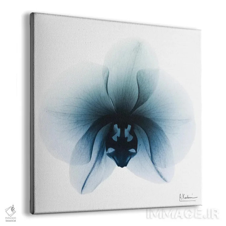 تابلو ارکیده یخی ۱ اثر آلبرت کوئتسیِر - نمای پرسپکتیو محصول