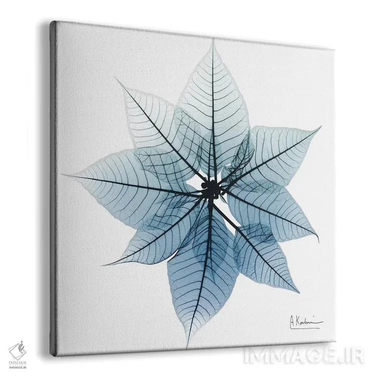 تابلو بنفشه کریسمسی یخزده ۱ اثر آلبرت کوئتسیِر - نمای پرسپکتیو محصول