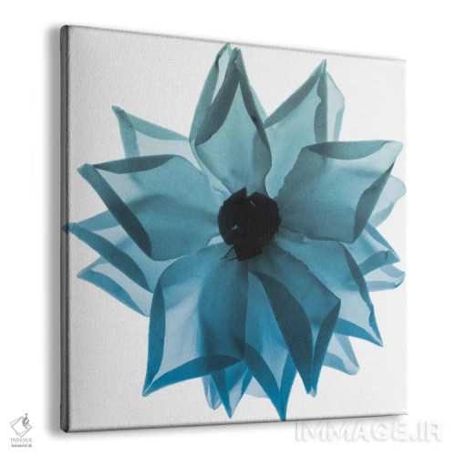 تابلو آبی گلبرگ رز ۱ اثر آلبرت کوئتسیِر - نمای پرسپکتیو محصول