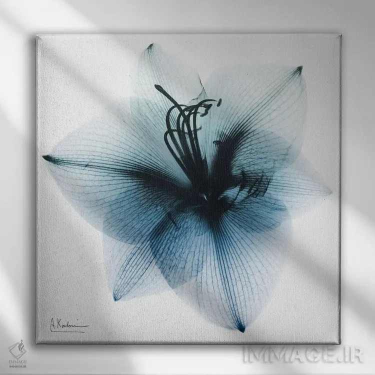 تابلو آماریلیس یخی ۱ اثر آلبرت کوئتسیِر - نمای روبهرو روی دیوار