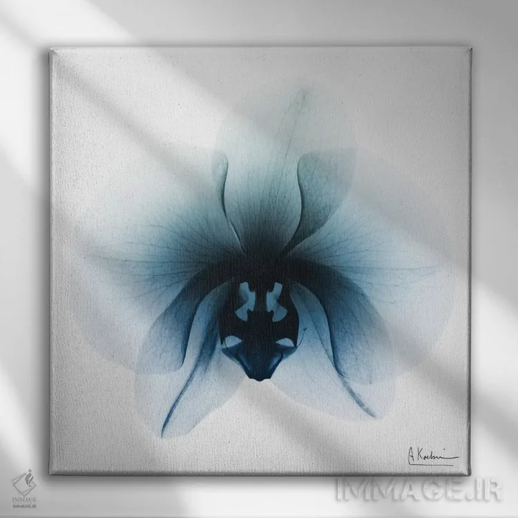 تابلو ارکیده یخی ۱ اثر آلبرت کوئتسیِر - نمای روبهرو روی دیوار