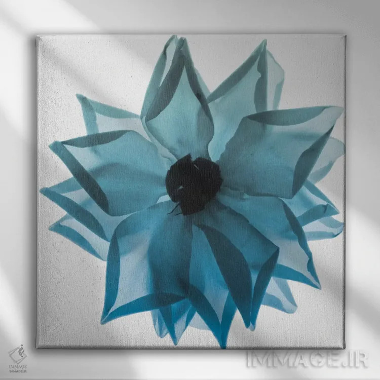 تابلو آبی گلبرگ رز ۱ اثر آلبرت کوئتسیِر - نمای روبهرو روی دیوار