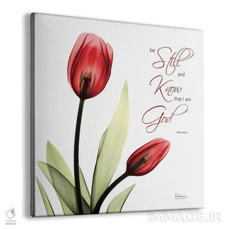 تابلو لاله آرام اثر آلبرت کوئتسیِر - نمای پرسپکتیو محصول