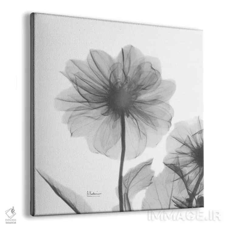 تابلو دوقلوهای داوودی اثر آلبرت کوئتسیِر - نمای پرسپکتیو محصول