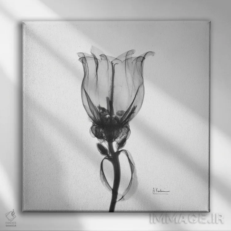 تابلو بل کانتربری (گل) اثر آلبرت کوئتسیِر - نمای روبهرو روی دیوار