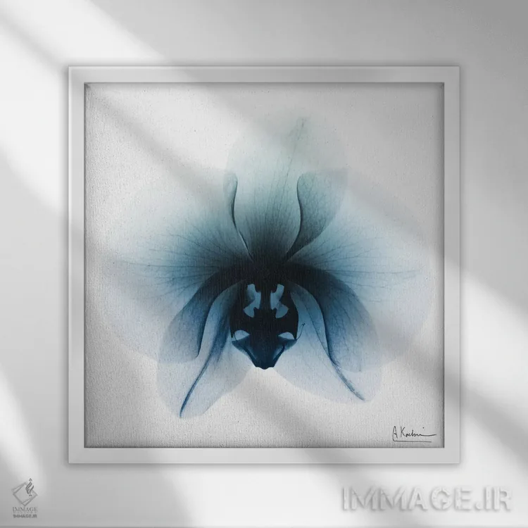 تابلو ارکیده یخی ۱ اثر آلبرت کوئتسیِر - نمای قابدار سفید