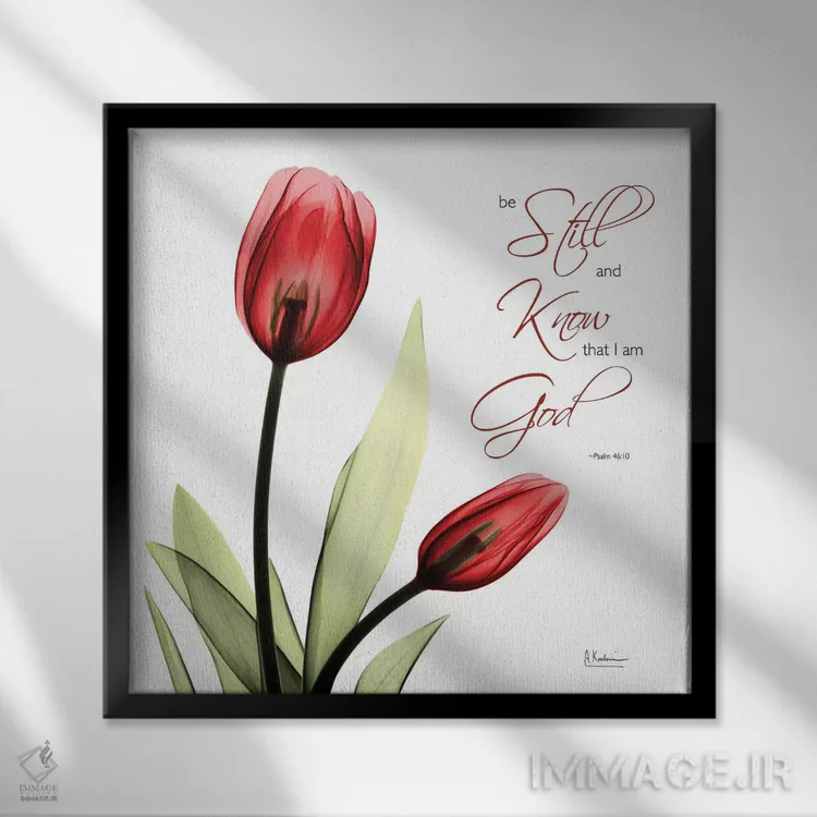 تابلو لاله آرام اثر آلبرت کوئتسیِر - نمای قابدار مشکی