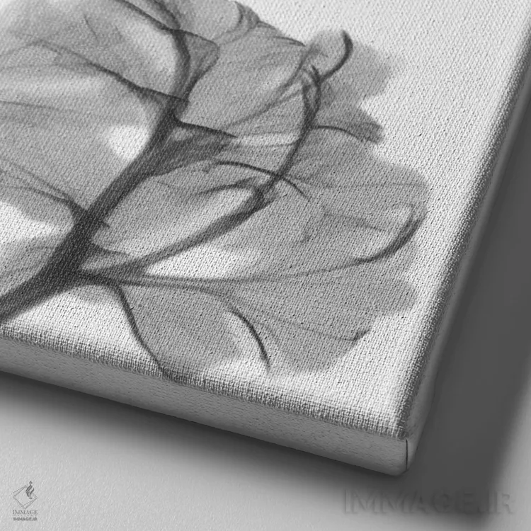 تابلو شقایق تنها اثر آلبرت کوئتسیِر - نمای نزدیک بافت بوم