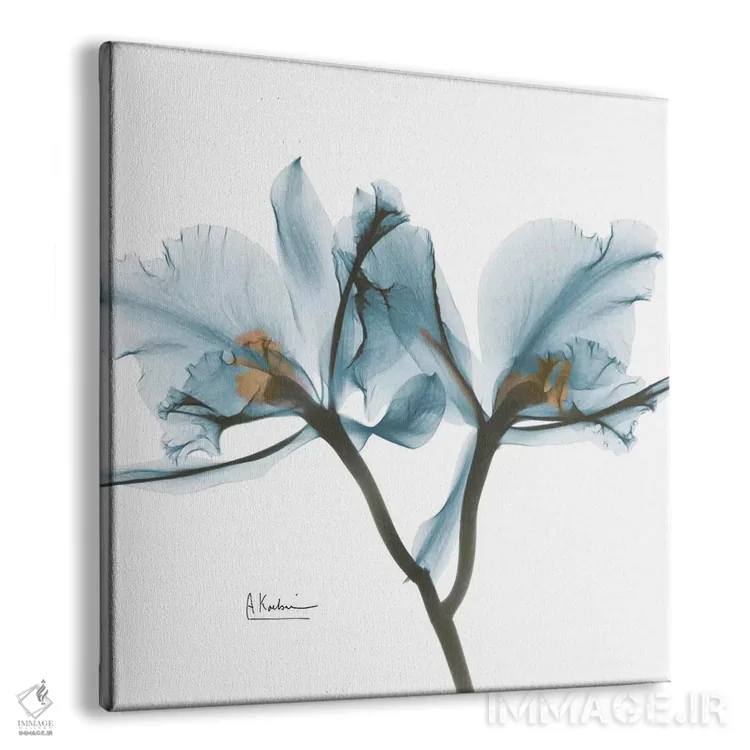 تابلو ارکیدهٔ آبی اثر آلبرت کوئتسیِر - نمای پرسپکتیو محصول