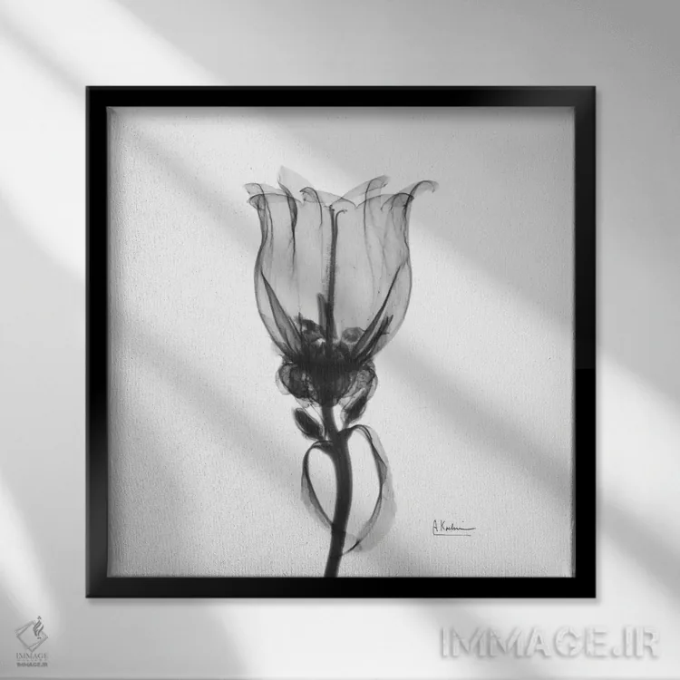 تابلو بل کانتربری (گل) اثر آلبرت کوئتسیِر - نمای قابدار مشکی