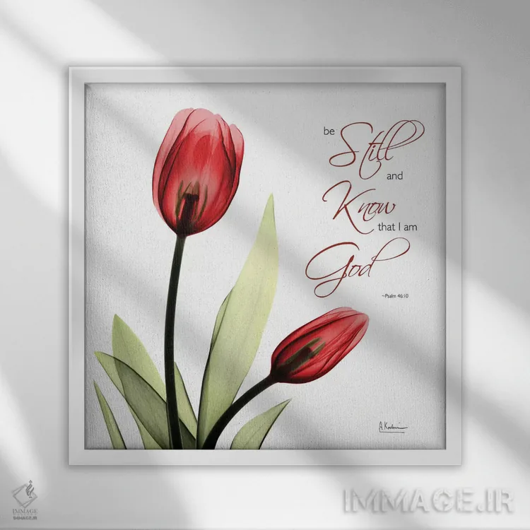 تابلو لاله آرام اثر آلبرت کوئتسیِر - نمای قابدار سفید