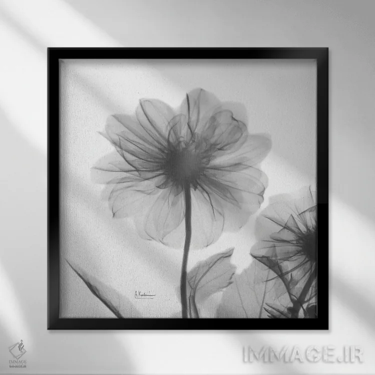 تابلو دوقلوهای داوودی اثر آلبرت کوئتسیِر - نمای قابدار مشکی