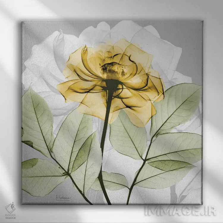 تابلو رز طلایی III اثر آلبرت کوئتسیِر - نمای روبهرو روی دیوار