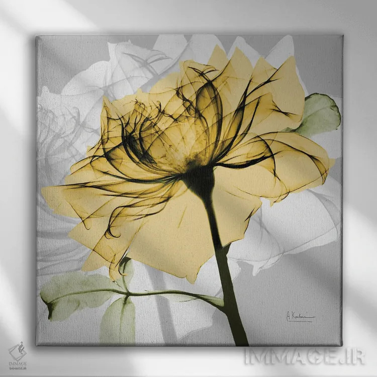 تابلو رز طلایی V اثر آلبرت کوئتسیِر - نمای روبهرو روی دیوار