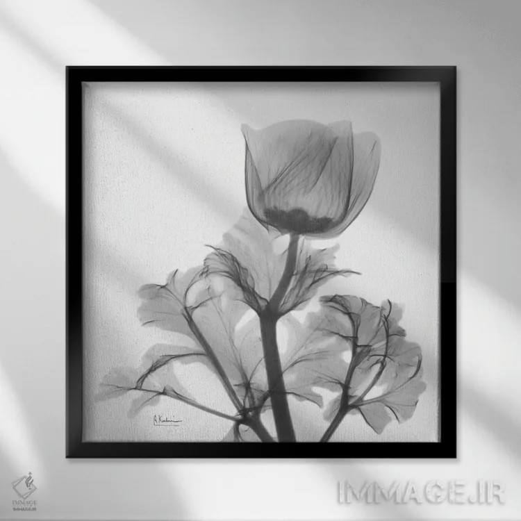 تابلو شقایق تنها اثر آلبرت کوئتسیِر - نمای قابدار مشکی