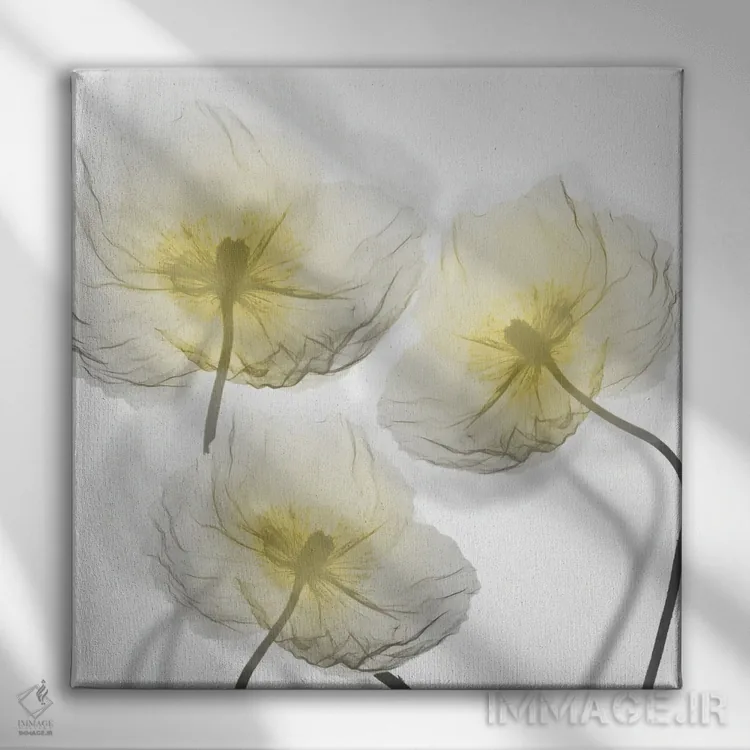 تابلو نور نامتمرکز I اثر آلبرت کوئتسیِر - نمای روبهرو روی دیوار