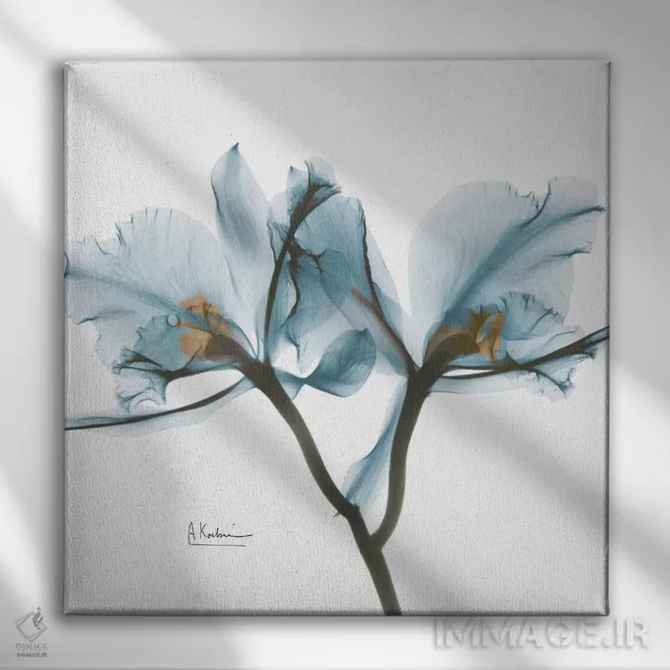 تابلو ارکیدهٔ آبی اثر آلبرت کوئتسیِر - نمای روبهرو روی دیوار