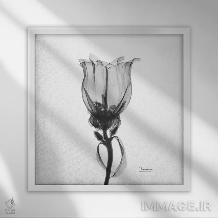 تابلو بل کانتربری (گل) اثر آلبرت کوئتسیِر - نمای قابدار سفید