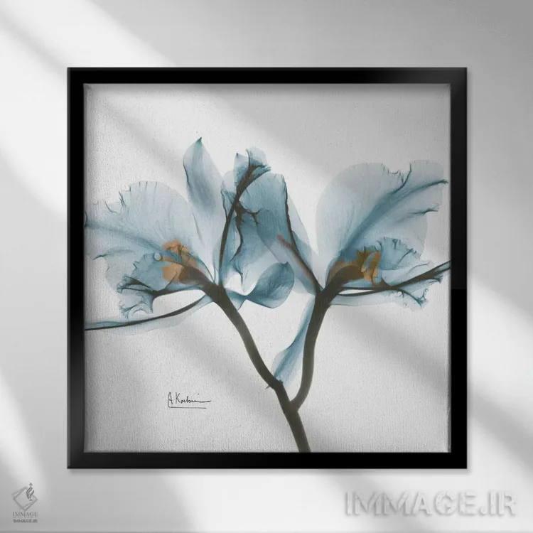 تابلو ارکیدهٔ آبی اثر آلبرت کوئتسیِر - نمای قابدار مشکی