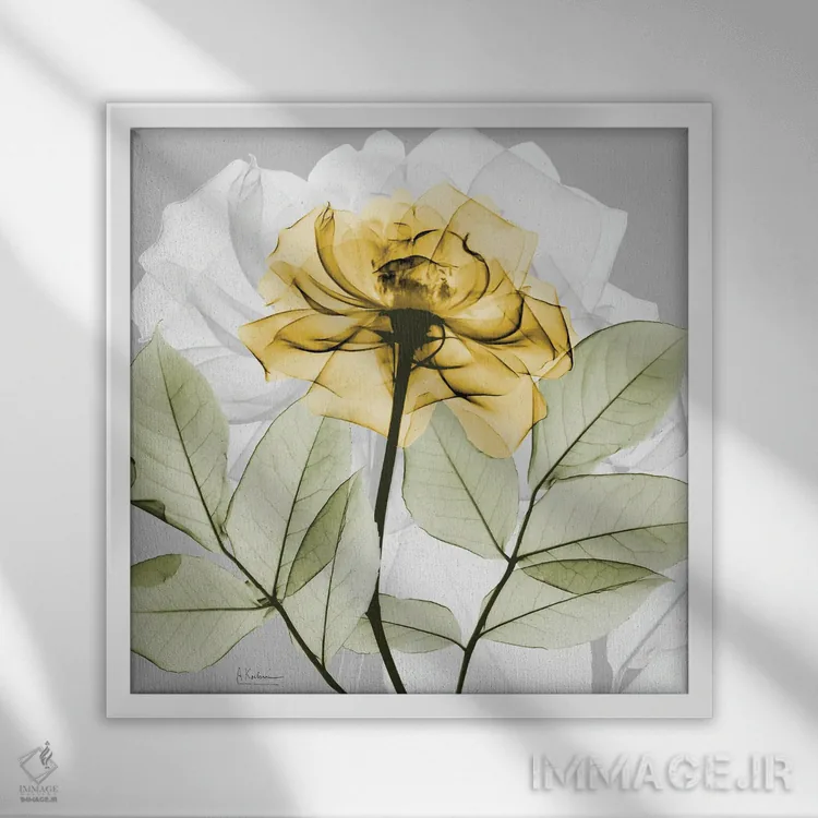 تابلو رز طلایی III اثر آلبرت کوئتسیِر - نمای قابدار سفید
