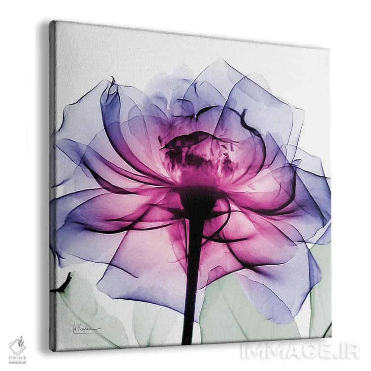 تابلو رز لِنی II اثر آلبرت کوئتسیِر - نمای پرسپکتیو محصول