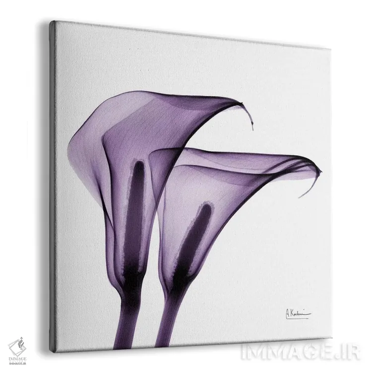 تابلو سوسنهای کالّا II اثر آلبرت کوئتسیِر - نمای پرسپکتیو محصول