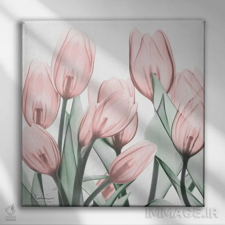 تابلو لالههای صورتی لطیف I اثر آلبرت کوئتسیِر - نمای روبهرو روی دیوار