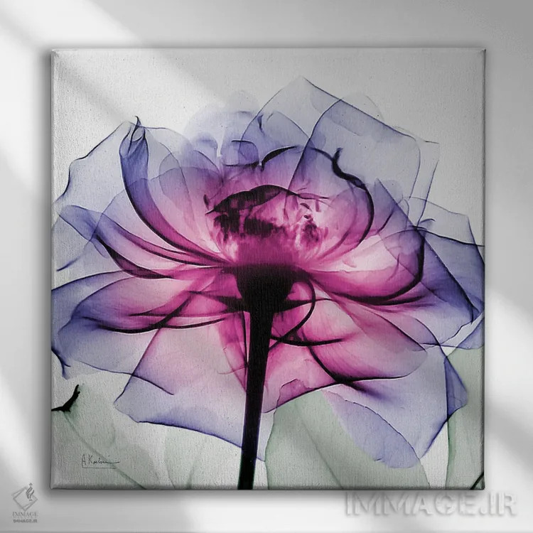 تابلو رز لِنی II اثر آلبرت کوئتسیِر - نمای روبهرو روی دیوار