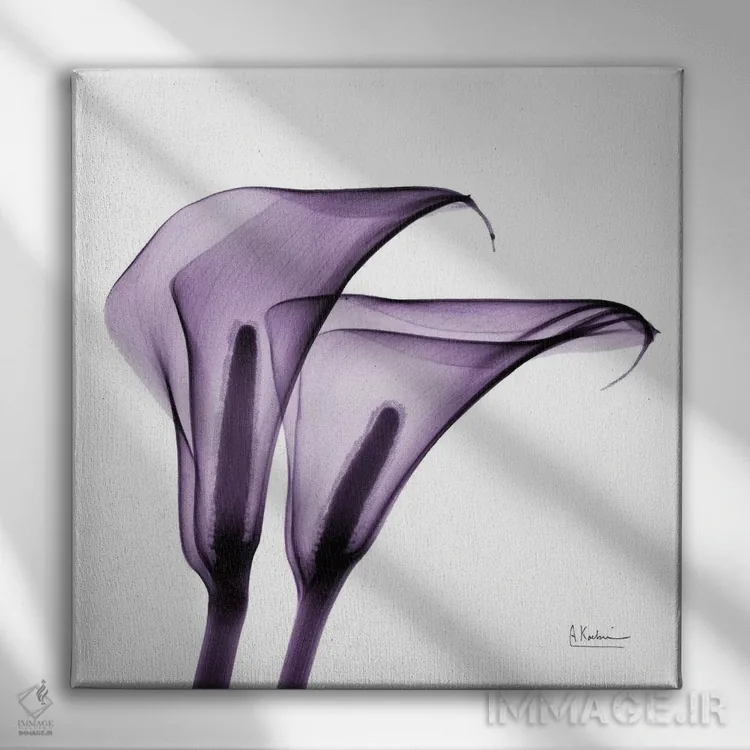 تابلو سوسنهای کالّا II اثر آلبرت کوئتسیِر - نمای روبهرو روی دیوار