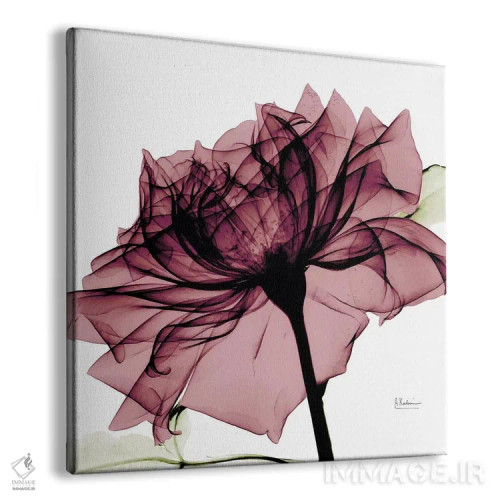 تابلو رز کیانتی I اثر آلبرت کوئتسیِر - نمای پرسپکتیو محصول
