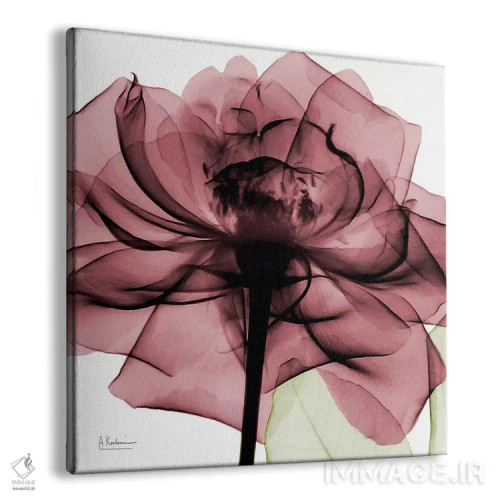 تابلو رز کیانتی II اثر آلبرت کوئتسیِر - نمای پرسپکتیو محصول